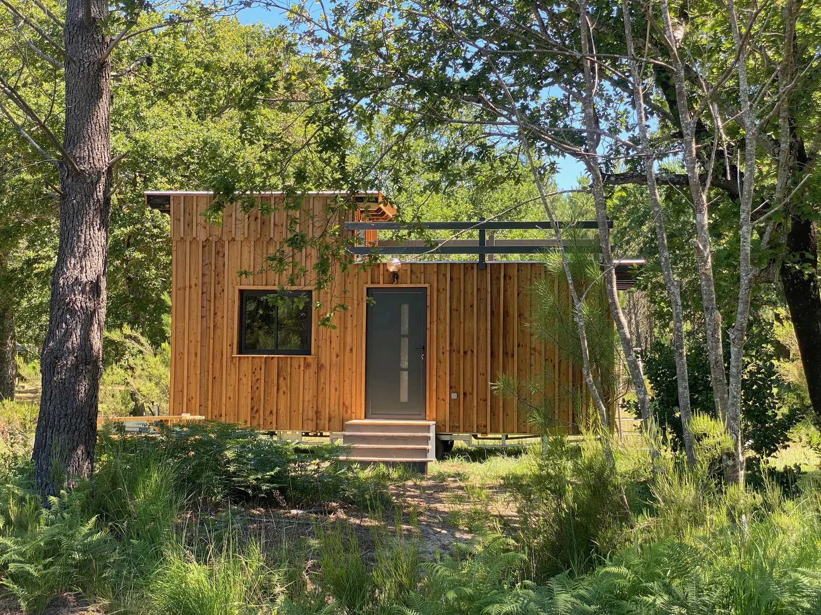 photo principale Tiny house rooftop
